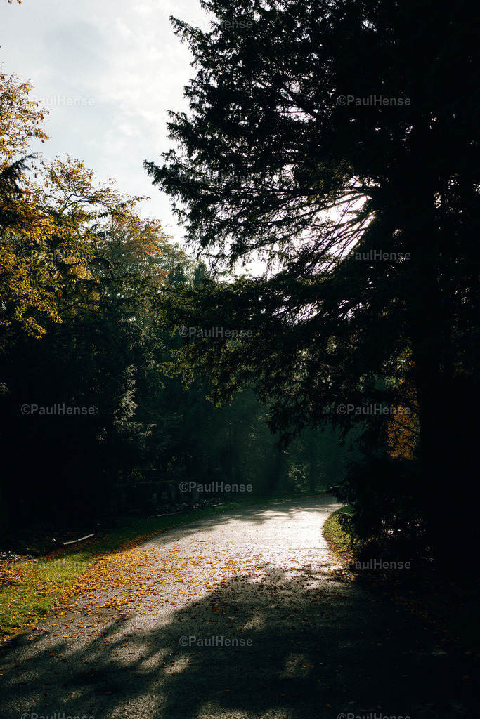 20221020_PaulHense_S0019_DSC00051 | paulhense - Realisiert mit Pictrs.com