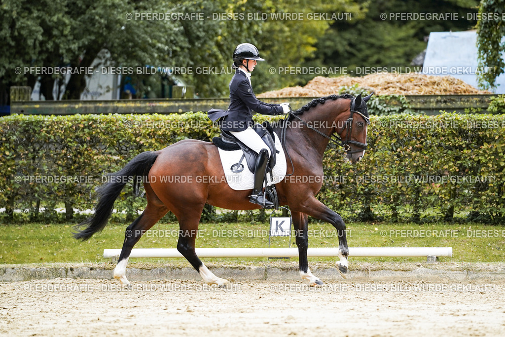 DSC07814 | Pferdegrafie