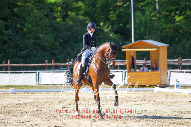 DKP42689 | Turniersportfotografie; Pferdefotografie; Dressurfotografie