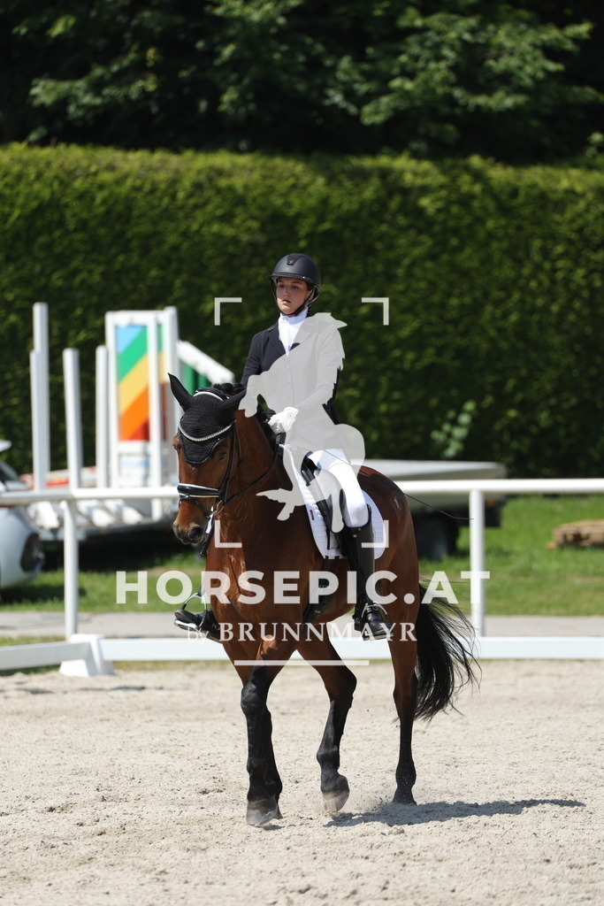 0P6A1217 | Willkommen bei Brunnmayr - Design & Fotografie – Ihrem Spezialisten für Reitturniere und Pferdeveranstaltungen in Oberösterreich, Salzburg und Bayern! Seit über 17 Jahren sind wir leidenschaftlich dabei.