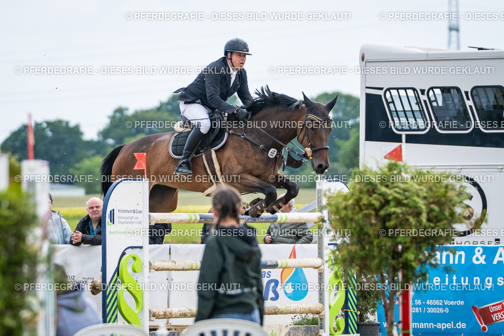 DSC06900 | Pferdegrafie