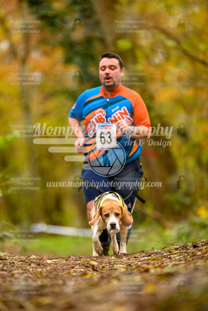 MompixPhotography_Bischwiller24_SA_Canicross-134 | mompixphotography