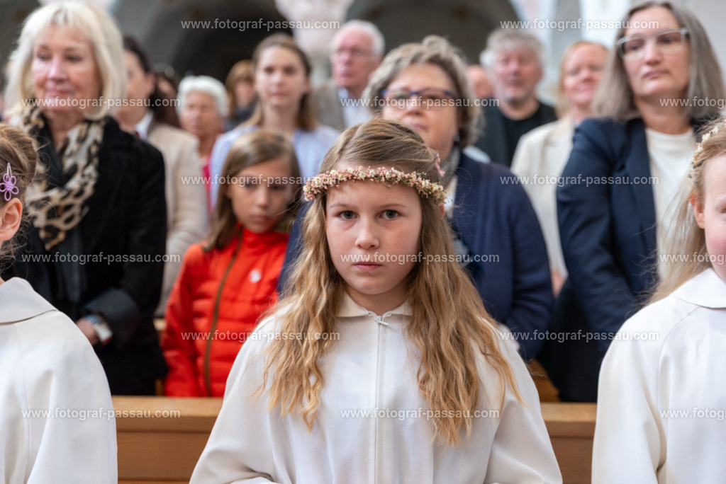 _DSC2632 | Hier finden Sie die Online Foto-Galerie von fotograf-passau.com und marius-handrugan.de. Suchen Sie sich direkt Ihre Lieblingsbilder aus, ob als Ausdruck oder Download. - Realisiert mit Pictrs.com