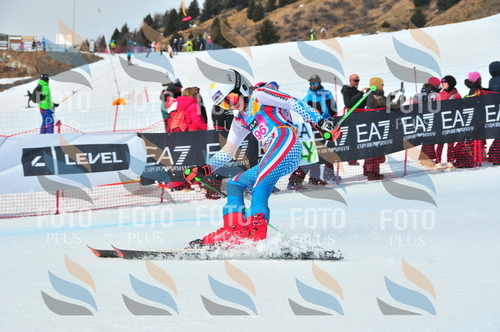 DSC_5526 | holidayphoto