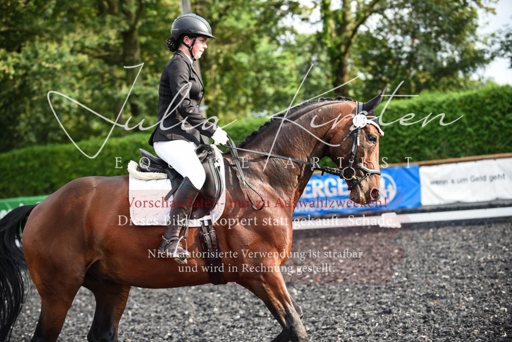 DSC_3346 | Pferde- und Turnierfotografie in Westsachsen. Pferdeportraits, Auftragszeichnungen und intuitive Kunst.