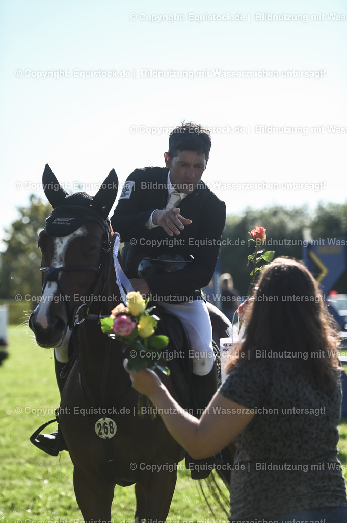 20230908_14-15_Springpferde-A_0135 | equistock