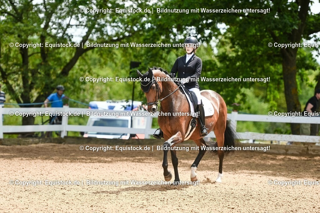 20230716_03_Dressurprfg. Kl.L - Tr._0438 | equistock
