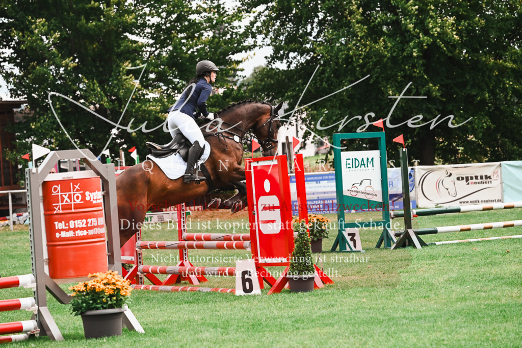 DSC_5998 | Pferde- und Turnierfotografie in Westsachsen. Pferdeportraits, Auftragszeichnungen und intuitive Kunst.