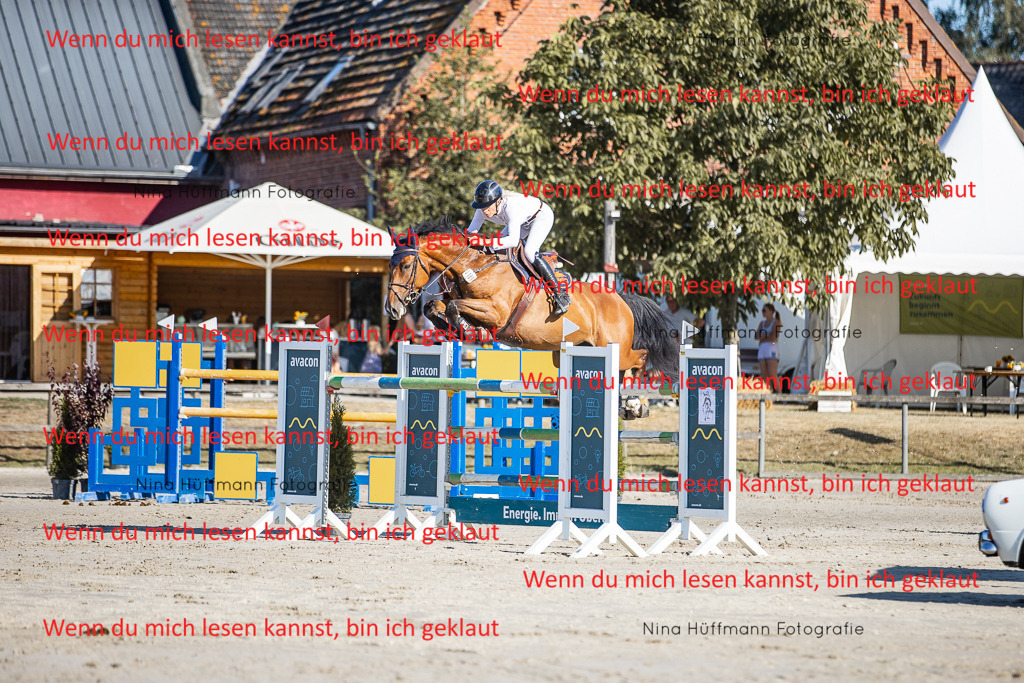 BK1A8591 | Turnierbilder Turnierfotos Nina Hüffmann Turnierfotografie Pferdefotografie Tierzeichnung Haustierzeichnung Pferdezeichnung Hundezeichnung Videograf  - Realisiert mit Pictrs.com