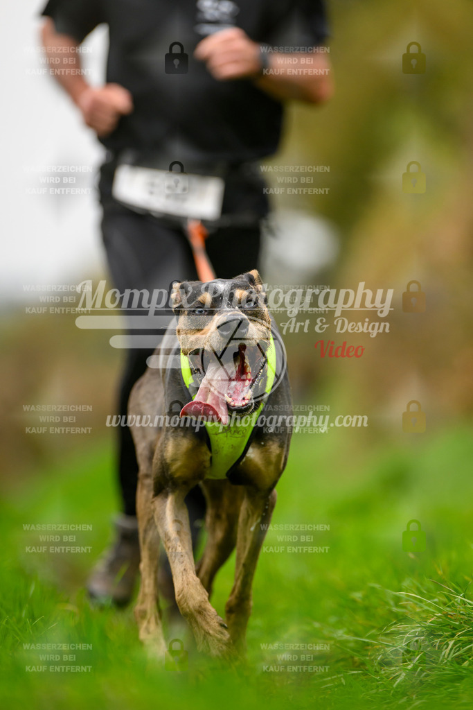 MompixPhotography_20TSB_E8_Run-81 | PayLife