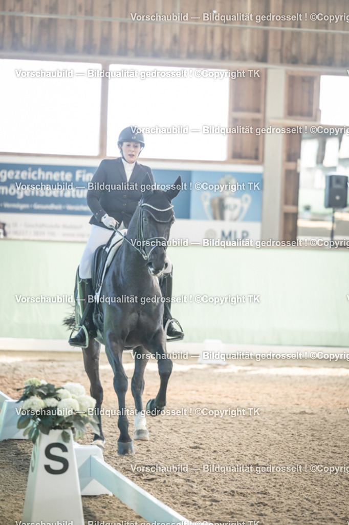 _D5A0556 | Emotionale Pferde- & People-Fotografie rund um Heidelberg, Leimen & Umgebung. Natürliche Fotos von Pferd, Mensch & Familie. Jetzt Termin sichern!