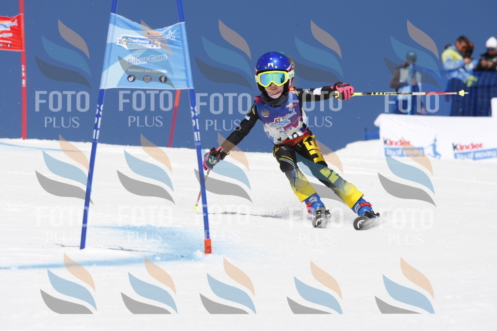 _W1G1677 | holidayphoto