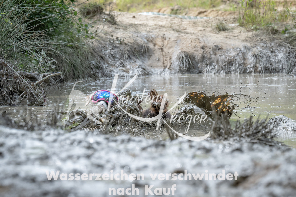 1059_ZZ90869 | kk-dogfotos