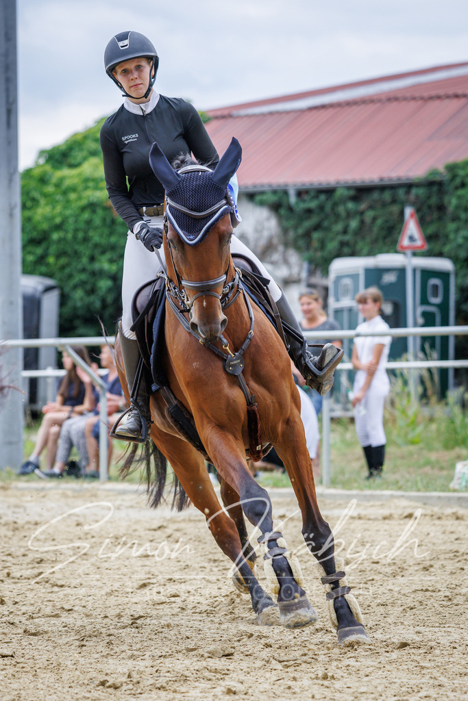 20260705-_3LI6374 | Tierfotografie Pferde, Hunde, Katzen, Haustiere.
Turnierfotografie Reitturniere, Reiten, Springreiten, Dressur in Hanau, dem Main-Kinzig-Kreis und dem Rhein-Main- Gebiet um Frankfurt