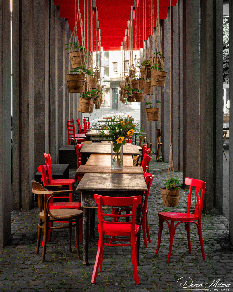 _DSC1694 | Fotografien, Fotos und Bilder aus Mainz, Frankfurt, Wiesbaden und anderen Orten auf der Welt - Fotografiert von Darius Metzner