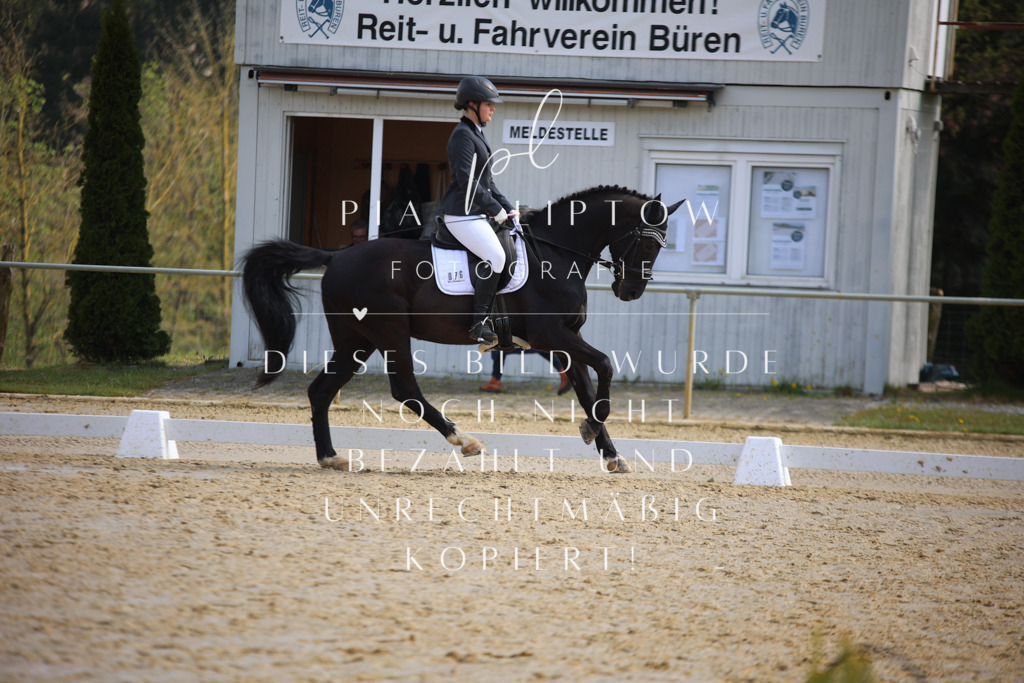 IMGT4692 | pl-fotografie