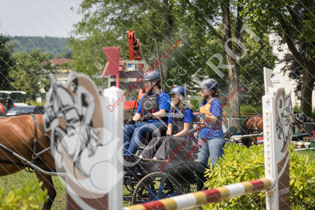 IMG_8075 | Sport-, Event- und Tierfotos in Profiqualität. Einfach auswählen, bestellen und herunterladen. Dein Moment – perfekt festgehalten.