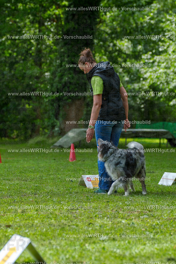 @allesWIRTHgut_Tierfotografie - www.allesWIRTHgut.de - 7R504802 | Professionelle Tierfotografie in Mönchengladbach von Daniel Wirth (allesWIRTHgut). Liebevolle & natürliche Bilder von Hunden & Katzen für unvergessliche Erinnerungen.