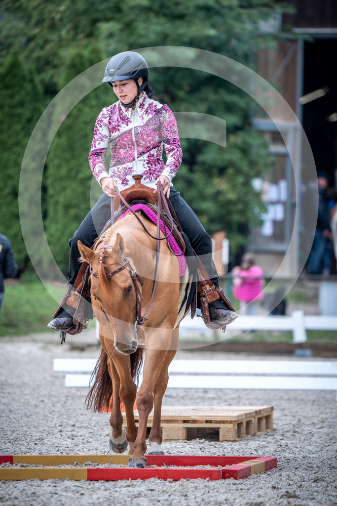 HEB07913-2 | BS-foto