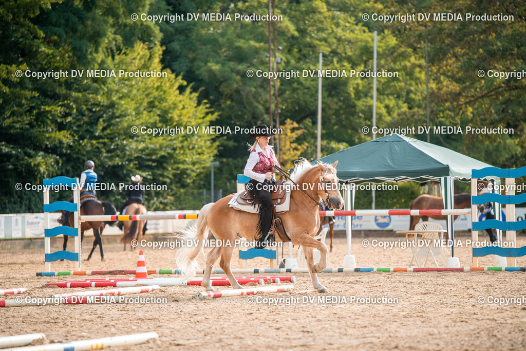 ZS2_7347 | dv-media-shop - Realisiert mit Pictrs.com