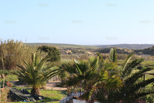 IMG_2911 | Raphael - Realisiert mit Pictrs.com