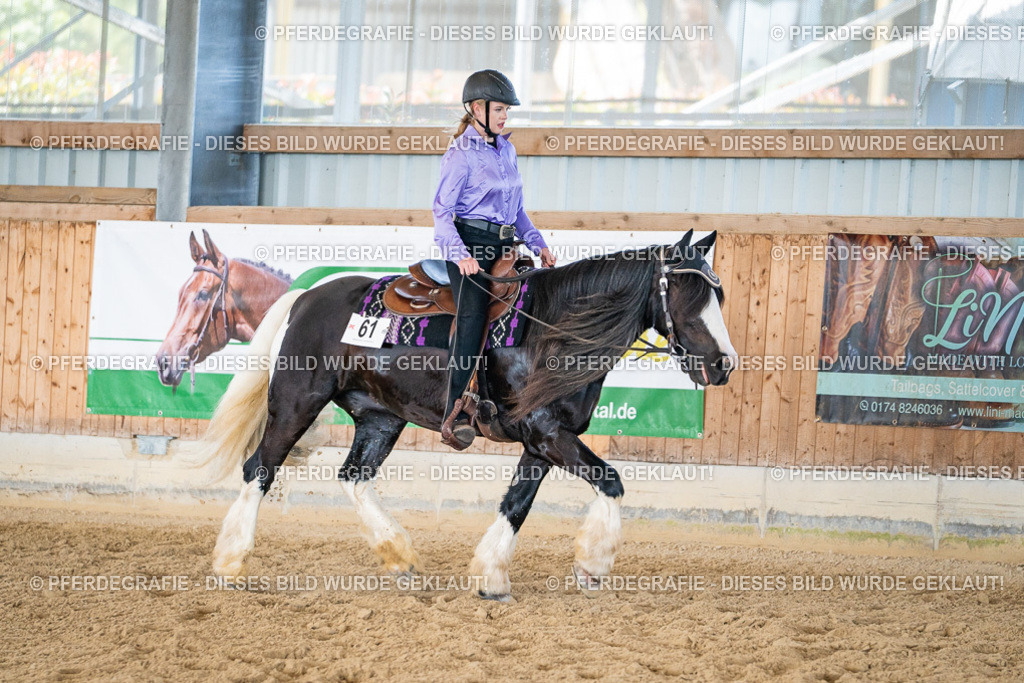 DSC03214 | Pferdegrafie