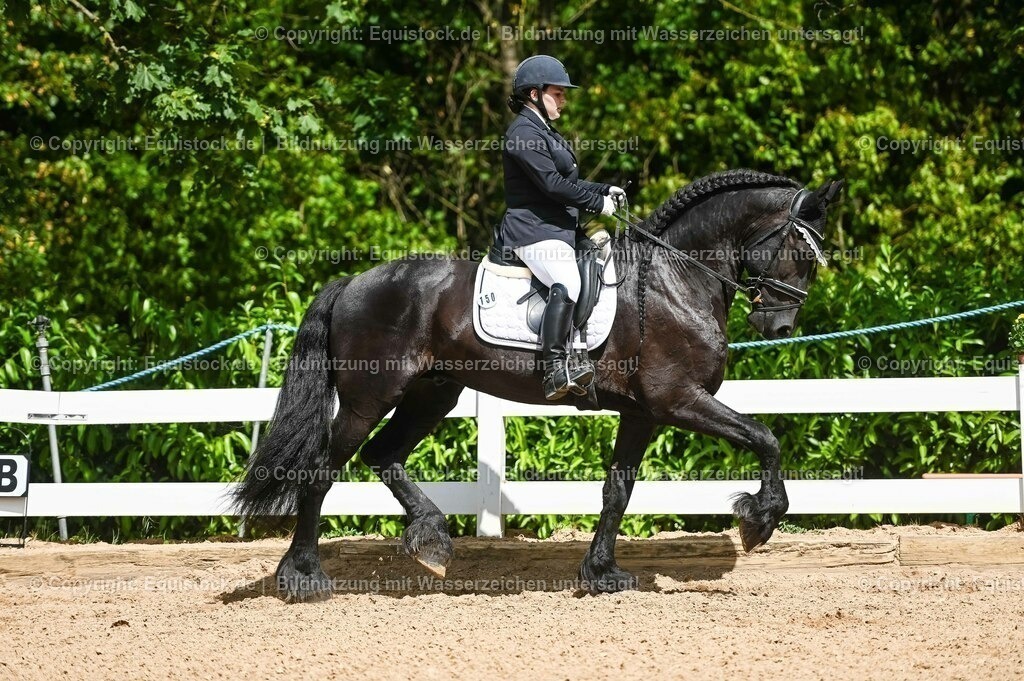 20230715_02_Dressurreiterprüfung Kl.L_0184 | equistock
