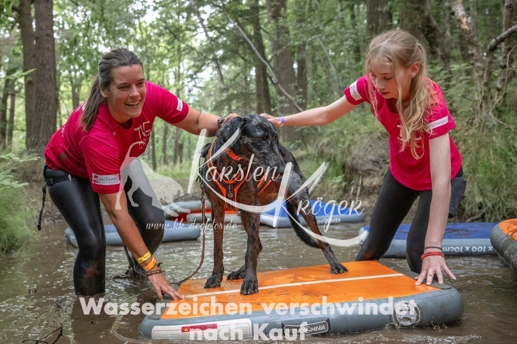 0901_ZZ90053T | kk-dogfotos