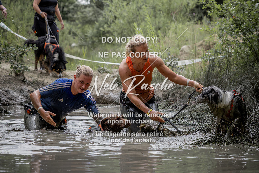 nelerasche_so1330-1400_16 | nelerasche
