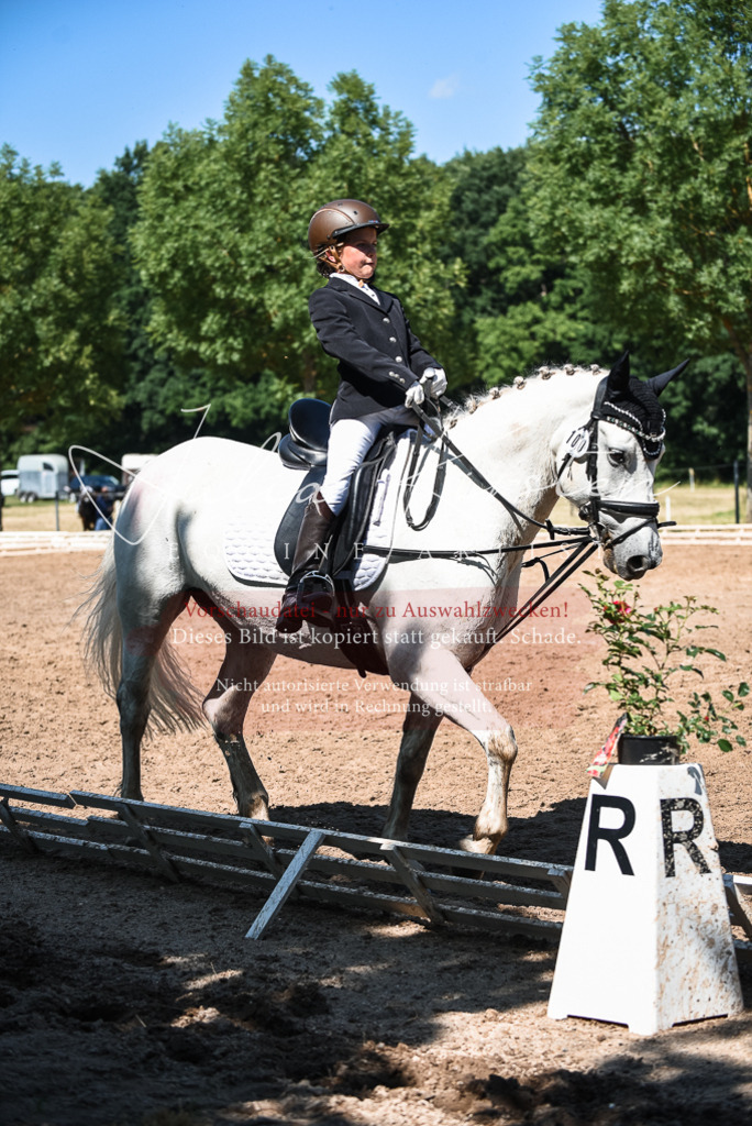 DSC_3618 | Pferde- und Turnierfotografie in Westsachsen. Pferdeportraits, Auftragszeichnungen und intuitive Kunst.