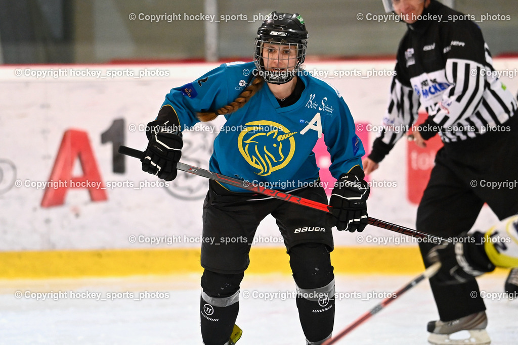 BST_6404 | hockey sports photos, Pressefotos, Sportfotos, hockey247, win 2day icehockeyleague, Handball Austria, Floorball Austria, ÖVV, Kärntner Eishockeyverband, KEHV, KFV, Kärntner Fussballverband, Österreichischer Volleyballverband, Alps Hockey League, ÖFB, 