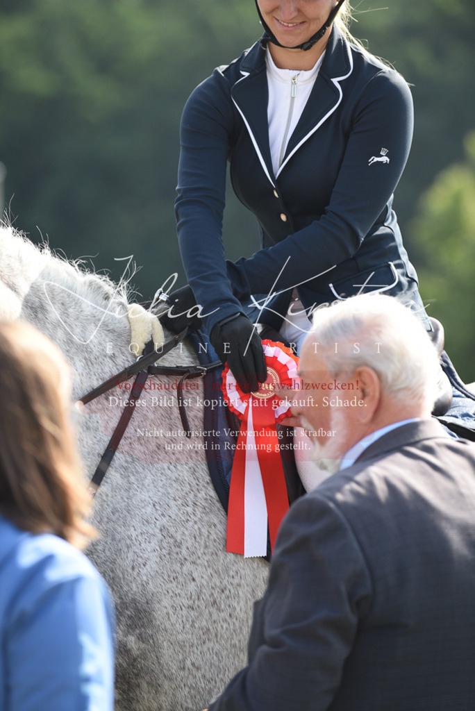 DSC_8970 | Pferde- und Turnierfotografie in Westsachsen. Pferdeportraits, Auftragszeichnungen und intuitive Kunst.