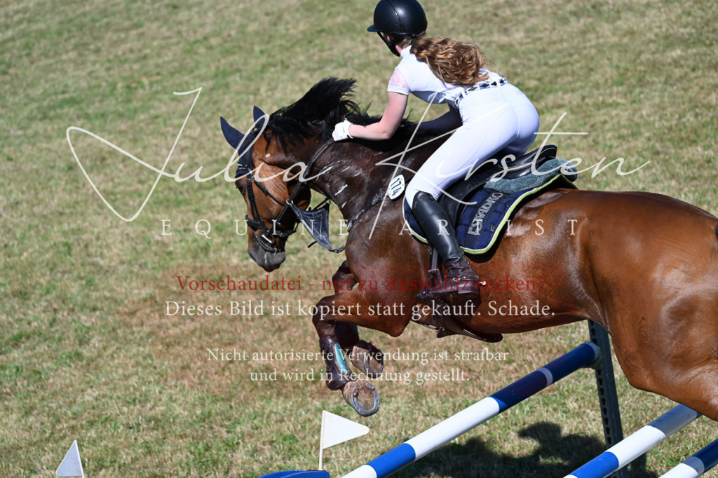 DSC_1890 | Pferde- und Turnierfotografie in Westsachsen. Pferdeportraits, Auftragszeichnungen und intuitive Kunst.