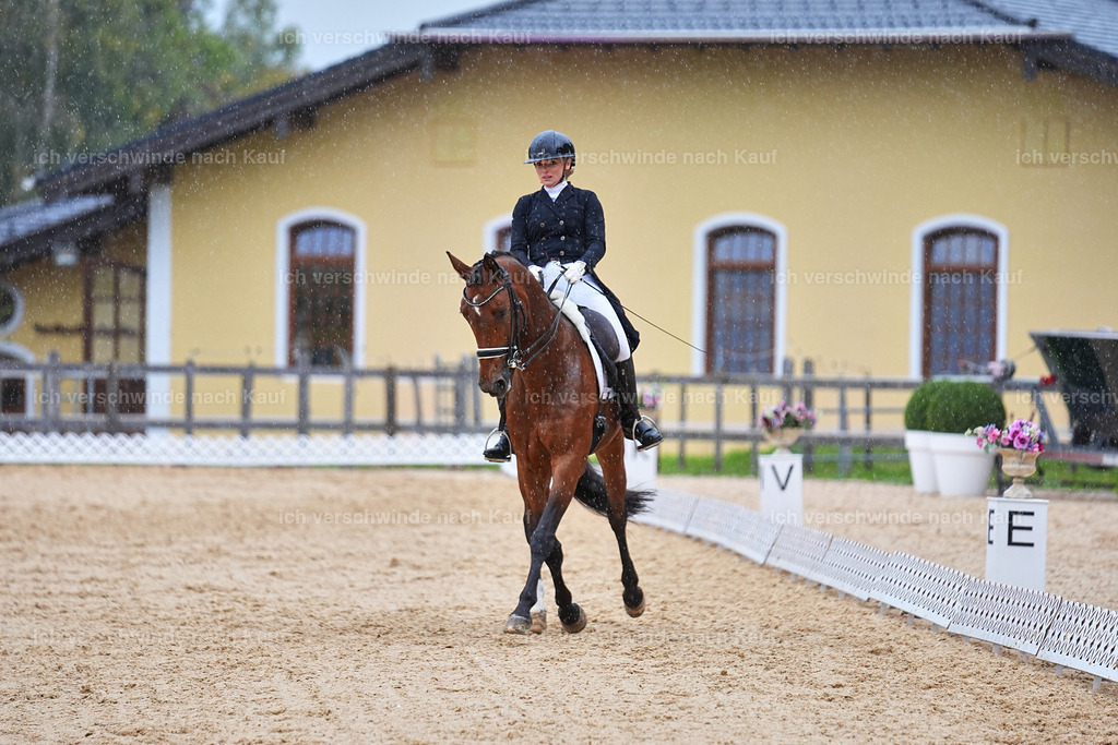 8_1-001-Klasse S_  -Marixx-4323 | working equitationturnier fotograf videograf stoibphotography marixx film working equitation deutschland reitsport turnierfotografie eventfotografie equestrian events