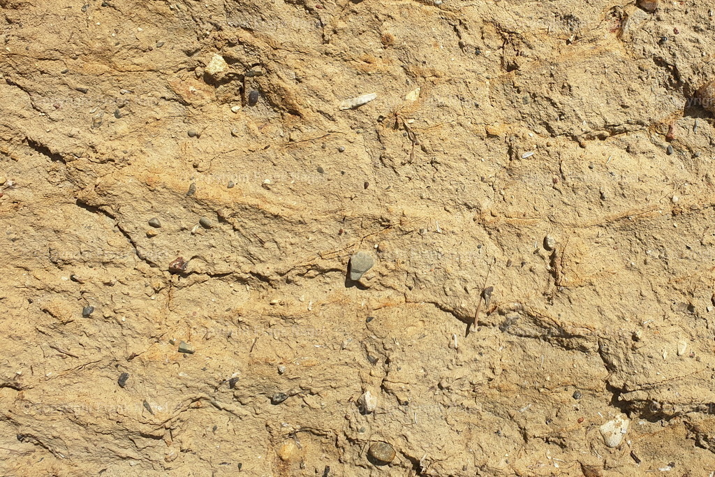 Steilufer-Wand | Diese Steiluferwand besteht aus einer Mischung von Lehm, Mergel, Ton, Steinen und Sand - Realisiert mit Pictrs.com