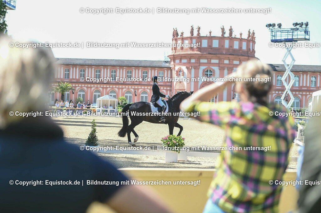 D78_3424 | equistock