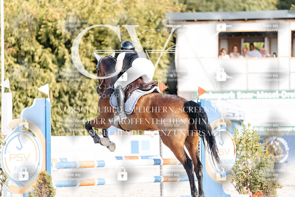 CK909429 | Turnierfotografie Pferdefotografie Trier Rheinland-Pfalz Pferdesport Reitsport Tierfotografie Sportfotografie Pferdevideo Pferdevideografie Equestrianvideography equestrianphotography  - Realisiert mit Pictrs.com