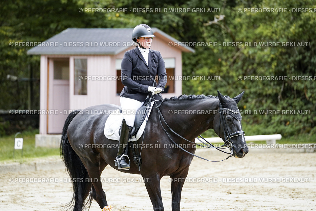 DSC09479 | Pferdegrafie