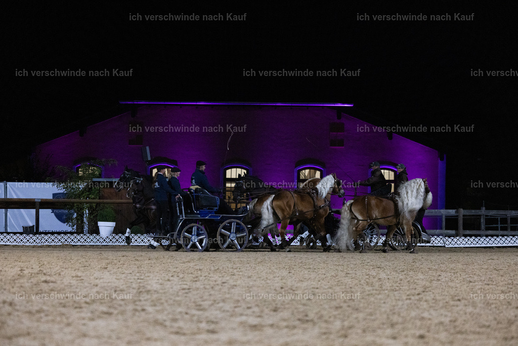 FHClassics-273 | working equitationturnier fotograf videograf stoibphotography marixx film working equitation deutschland reitsport turnierfotografie eventfotografie equestrian events