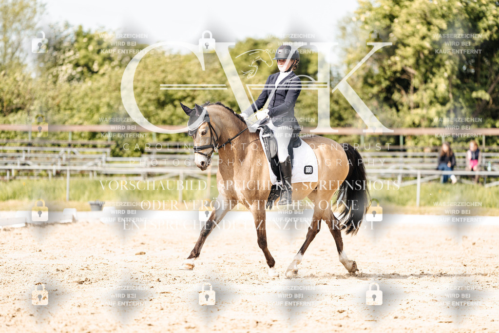 CK900434 | Turnierfotografie Pferdefotografie Trier Rheinland-Pfalz Pferdesport Reitsport Tierfotografie Sportfotografie Pferdevideo Pferdevideografie Equestrianvideography equestrianphotography  - Realisiert mit Pictrs.com