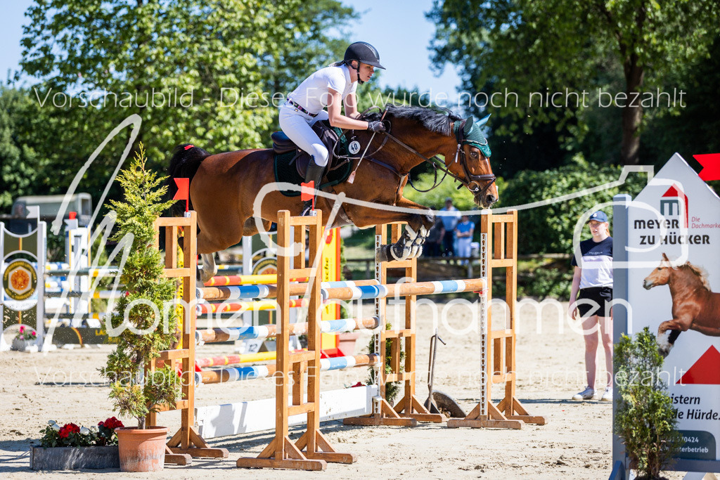 Donop24-M-Spr-074 | MomenTaufnahmen Pferdesportfotos