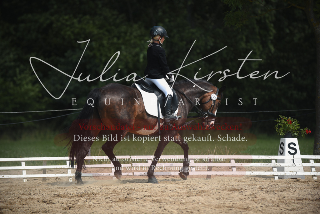 DSC_2430 | Pferde- und Turnierfotografie in Westsachsen. Pferdeportraits, Auftragszeichnungen und intuitive Kunst.