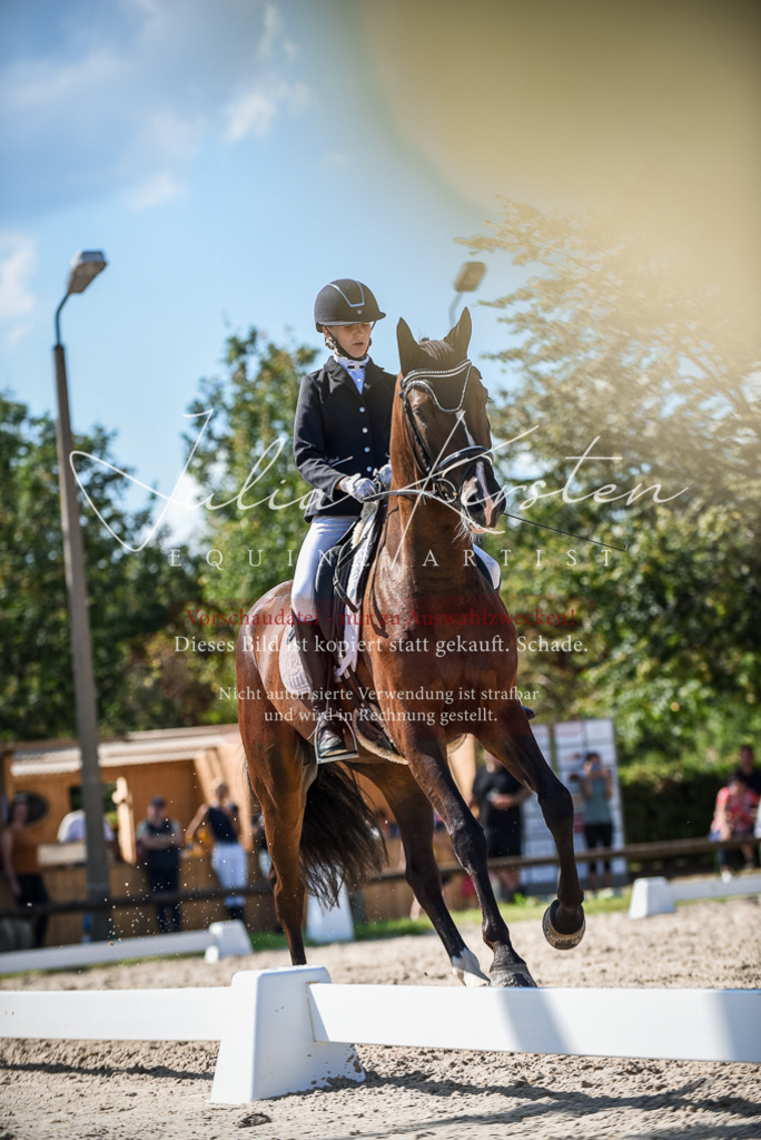 DSC_9611 | Pferde- und Turnierfotografie in Westsachsen. Pferdeportraits, Auftragszeichnungen und intuitive Kunst.