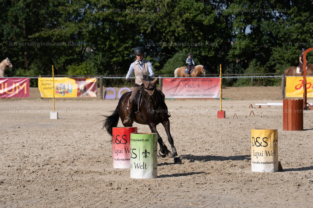 WS_SP_19_SinaFilmArt_IN09196 | working equitationturnier fotograf videograf stoibphotography marixx film working equitation deutschland reitsport turnierfotografie eventfotografie equestrian events