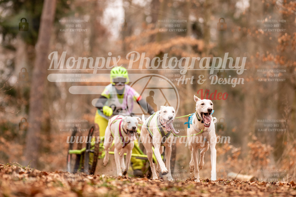 AKM_ST_2023_SAM_DR4-26 | PayLife