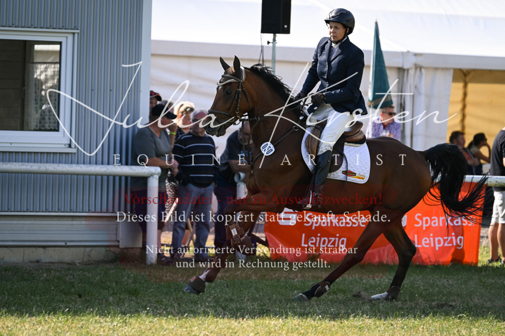 DSC_1245 | Pferde- und Turnierfotografie in Westsachsen. Pferdeportraits, Auftragszeichnungen und intuitive Kunst.