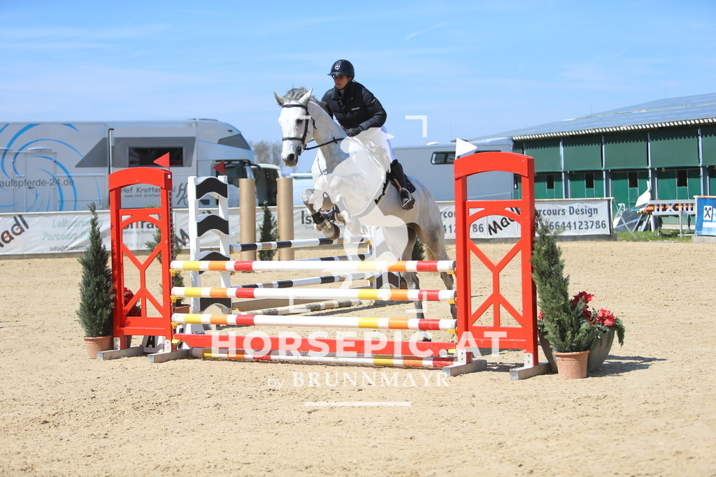DL2Q9876 | Willkommen bei Brunnmayr - Design & Fotografie – Ihrem Spezialisten für Reitturniere und Pferdeveranstaltungen in Oberösterreich, Salzburg und Bayern! Seit über 17 Jahren sind wir leidenschaftlich dabei.
