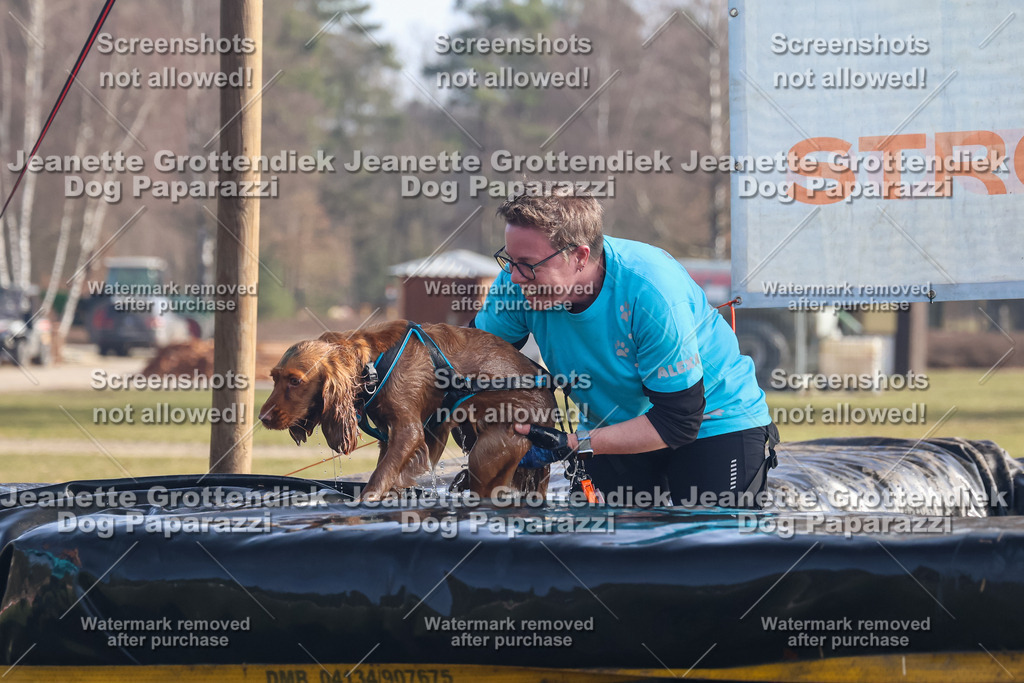 Dog Paparazzi - Strongdog North Mrz26-652 | Dog Paparazzi Jeanette Grottendiek Fotografie & Videografie - Realisiert mit Pictrs.com
