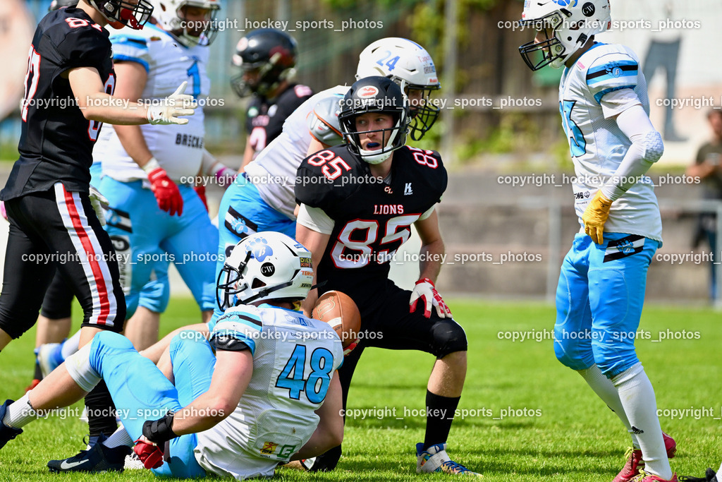 Carinthian Lions vs. Styrian Bears | Carinthian Lions vs. Styrian Bears, Carinthian Lions vs. Styrian Bears am 20.05.2024 in Klagenfurt (ASV Sportplatz), Austria, (Photo by Bernd Stefan)