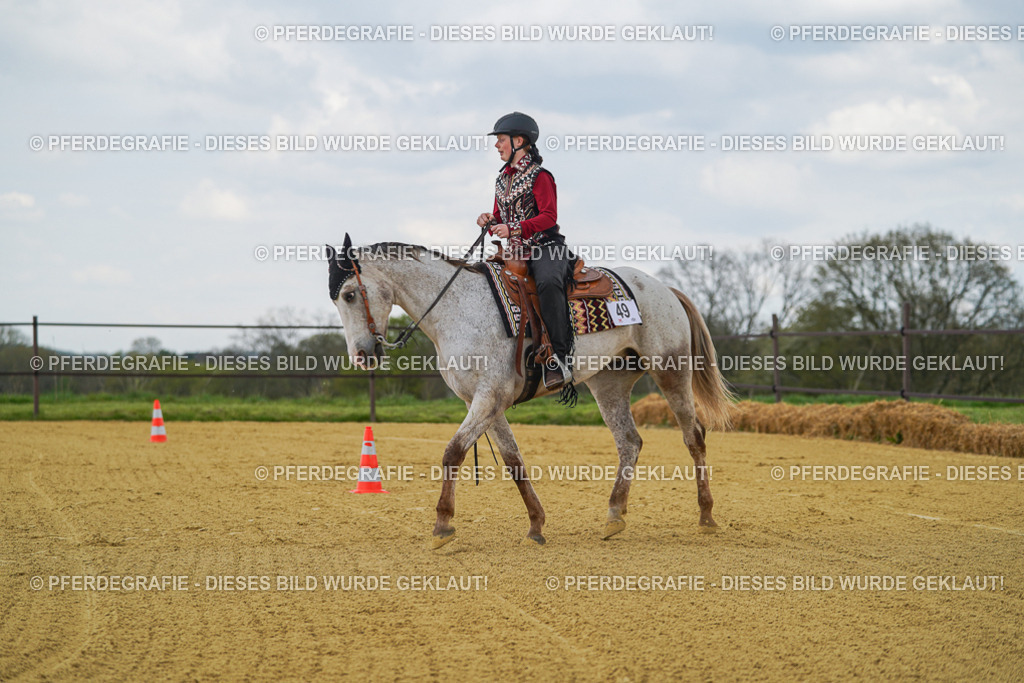 DSC06087 | Pferdegrafie